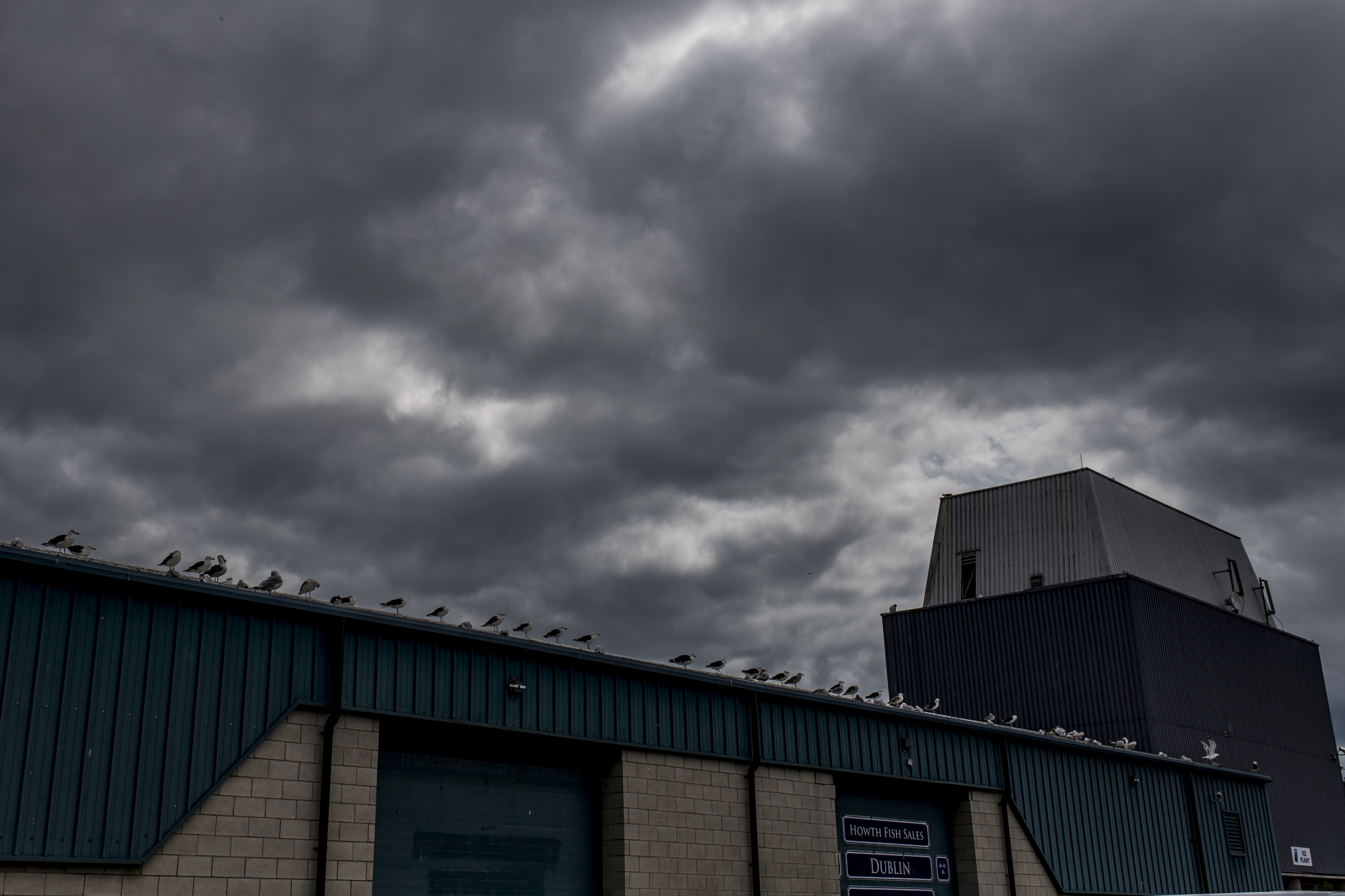 dublin-23082017-_MG_3380