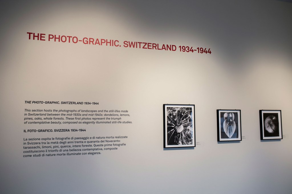 Warner Bischof exhibition at Tre&nbsp;Oci